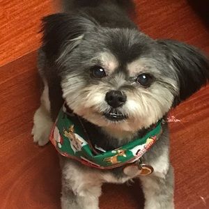 Meet your Posher, Jenney